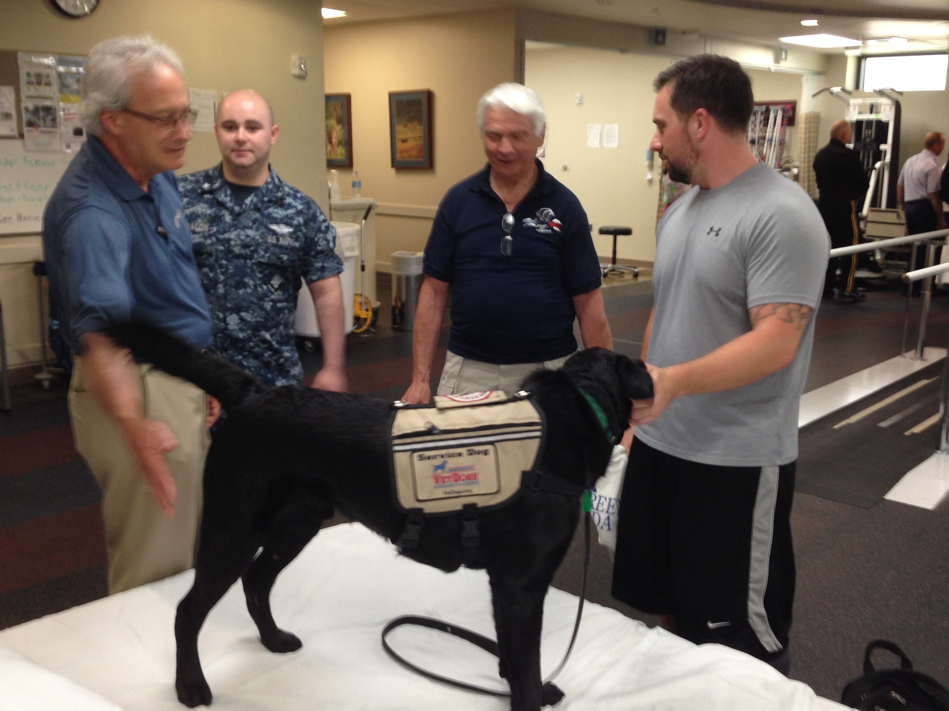 Rehabilitation companion dogs at Walter Reed